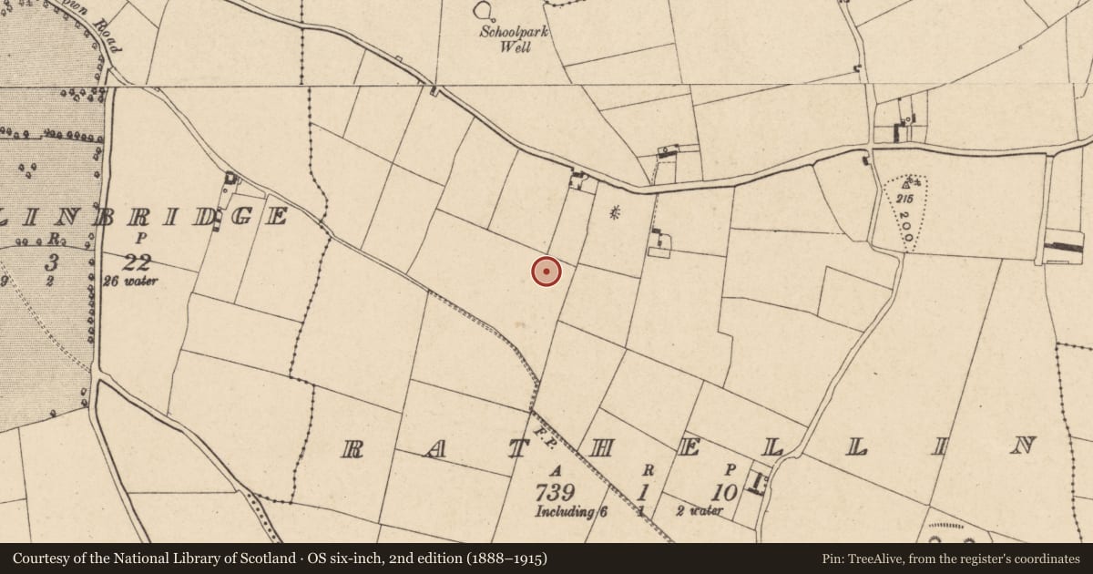 Ordnance Survey six-inch map, 2nd edition (1888–1915) covering the location of Enclosure, Rathellin, County Carlow, with a pin at the register's coordinates