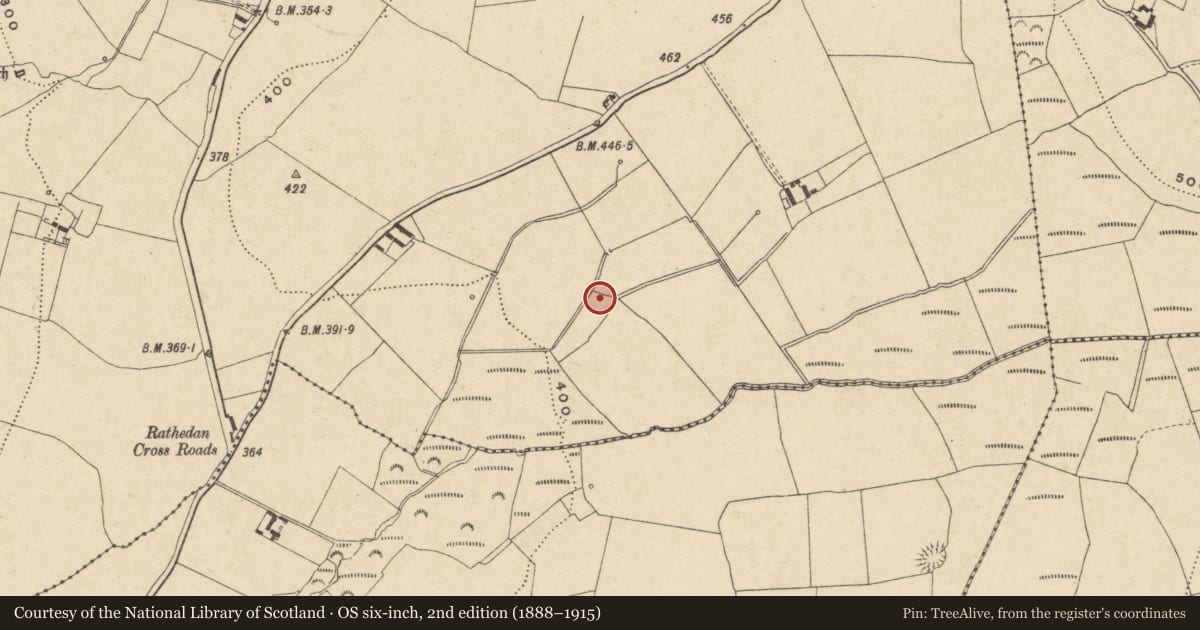 Ordnance Survey six-inch map, 2nd edition (1888–1915) covering the location of Earthwork, Rathedan, County Carlow, with a pin at the register's coordinates