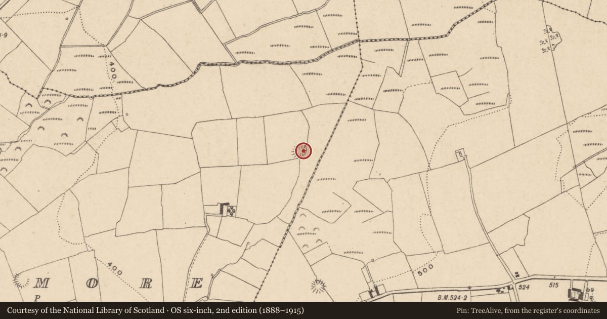 Ordnance Survey six-inch map, 2nd edition (1888–1915) covering the location of Ringfort - rath, Bohermore, County Carlow, with a pin at the register's coordinates