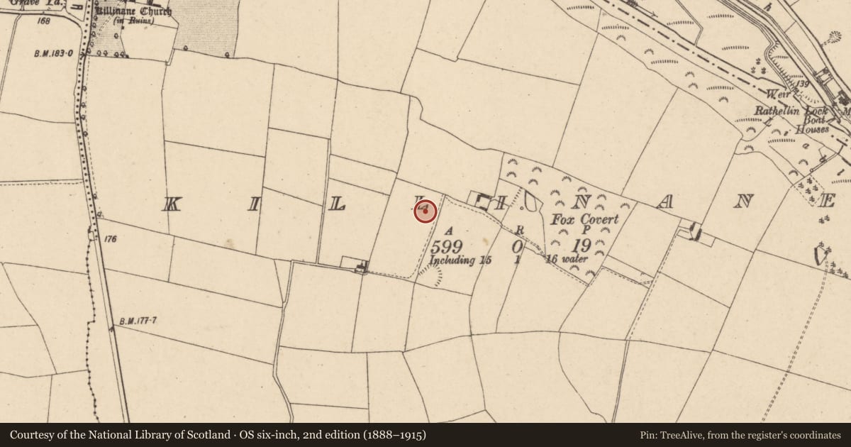 Ordnance Survey six-inch map, 2nd edition (1888–1915) covering the location of Cist, Killinane, County Carlow, with a pin at the register's coordinates