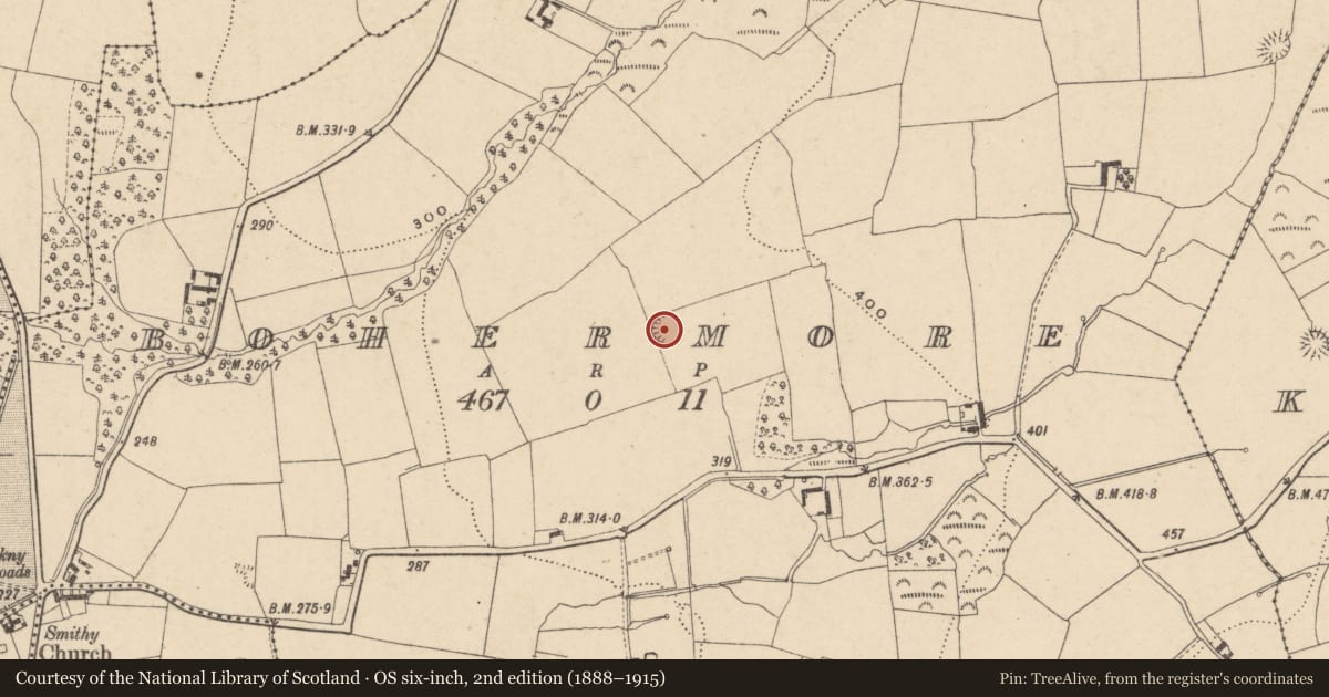 Ordnance Survey six-inch map, 2nd edition (1888–1915) covering the location of Ringfort - rath, Bohermore, County Carlow, with a pin at the register's coordinates