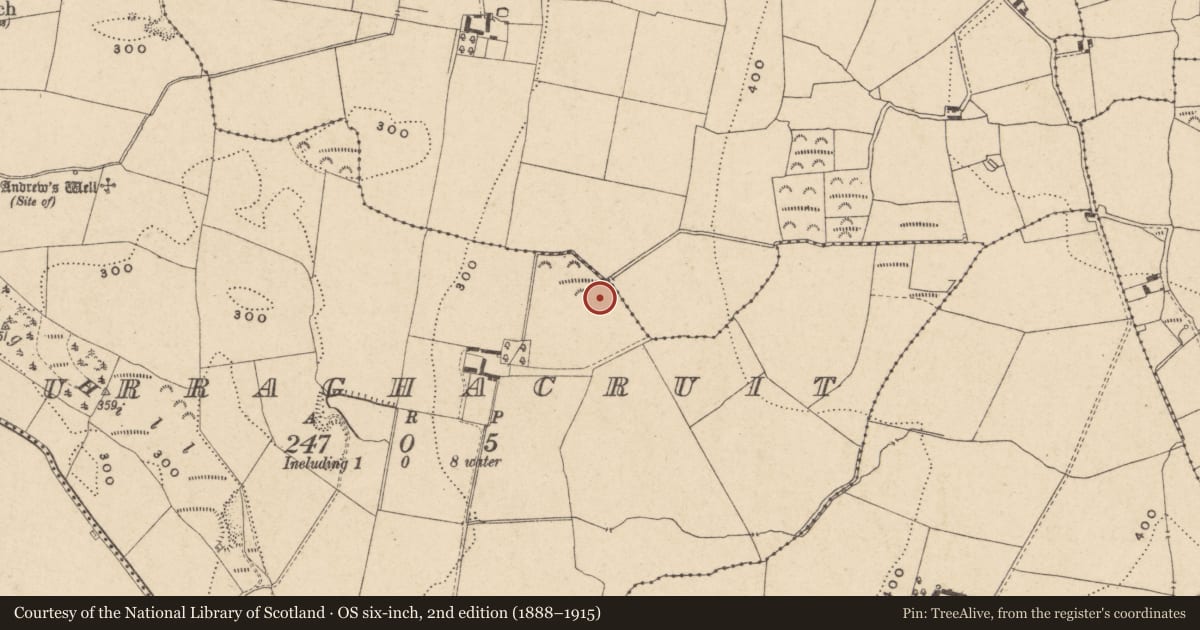 Ordnance Survey six-inch map, 2nd edition (1888–1915) covering the location of Ringfort - rath, Curraghacruit, County Carlow, with a pin at the register's coordinates