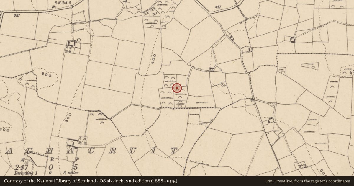 Ordnance Survey six-inch map, 2nd edition (1888–1915) covering the location of Enclosure, Bohermore, County Carlow, with a pin at the register's coordinates