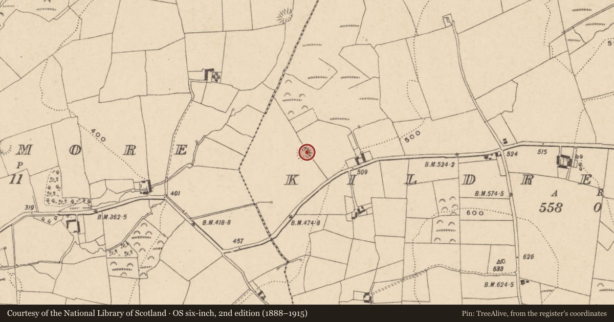 Ordnance Survey six-inch map, 2nd edition (1888–1915) covering the location of Ringfort - rath, Kildreenagh, County Carlow, with a pin at the register's coordinates