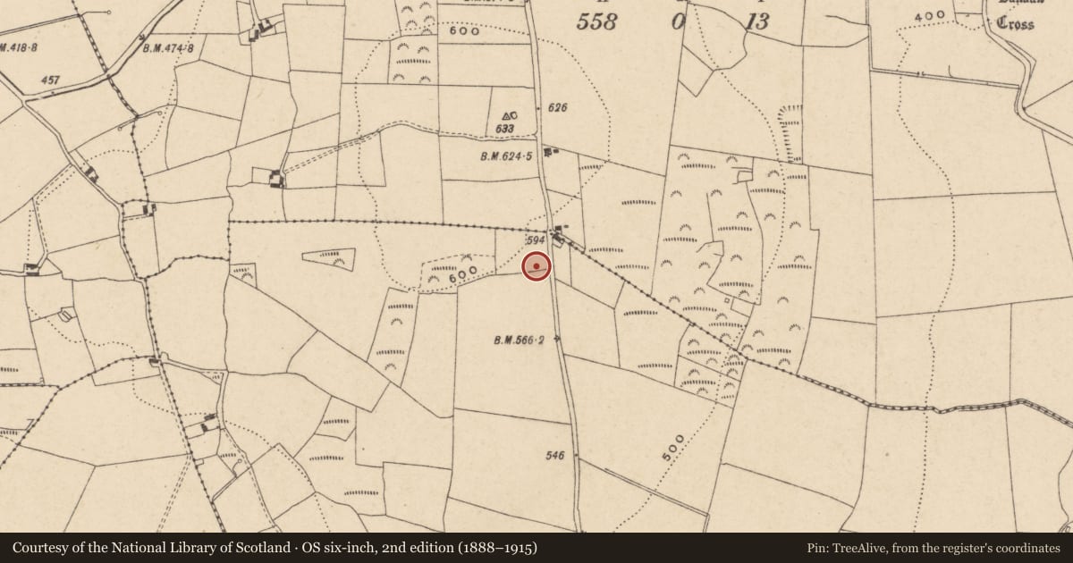 Ordnance Survey six-inch map, 2nd edition (1888–1915) covering the location of Earthwork, Ballywilliamroe, County Carlow, with a pin at the register's coordinates
