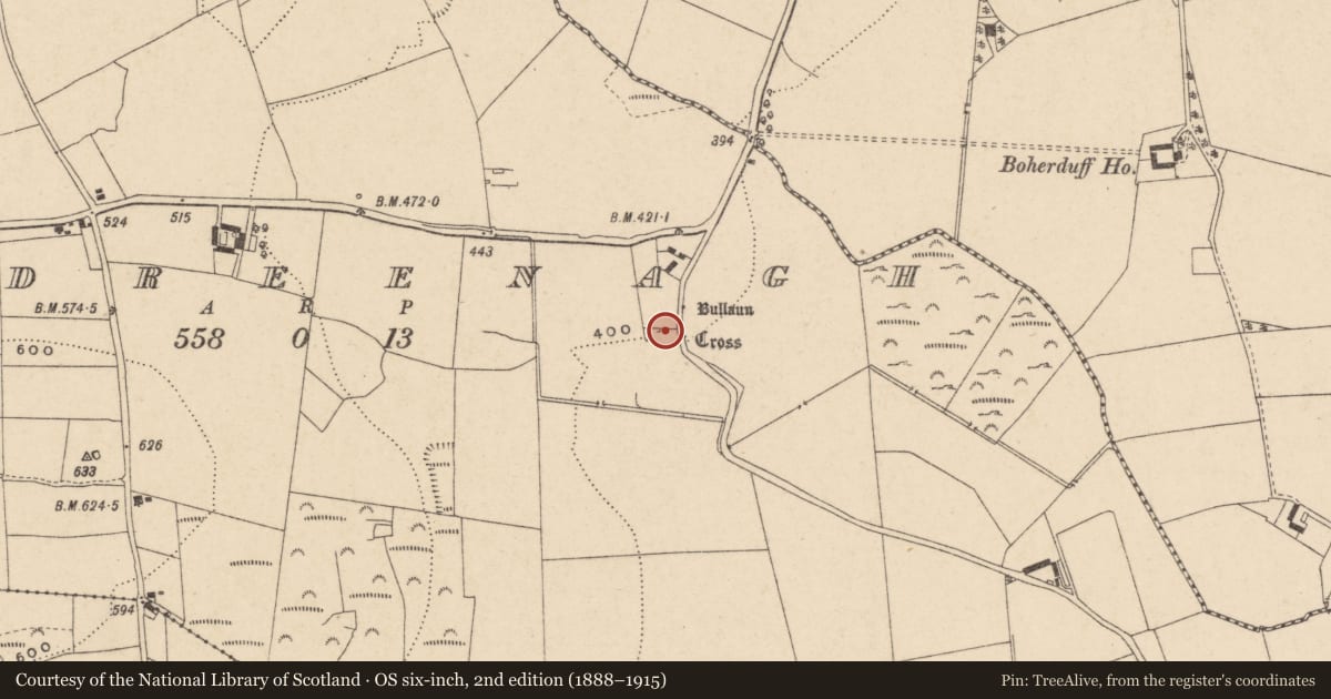 Ordnance Survey six-inch map, 2nd edition (1888–1915) covering the location of Church, Kildreenagh, County Carlow, with a pin at the register's coordinates