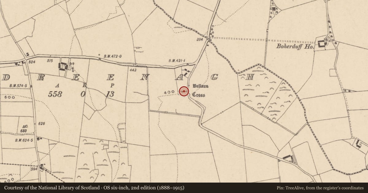 Ordnance Survey six-inch map, 2nd edition (1888–1915) covering the location of Graveyard, Kildreenagh, County Carlow, with a pin at the register's coordinates