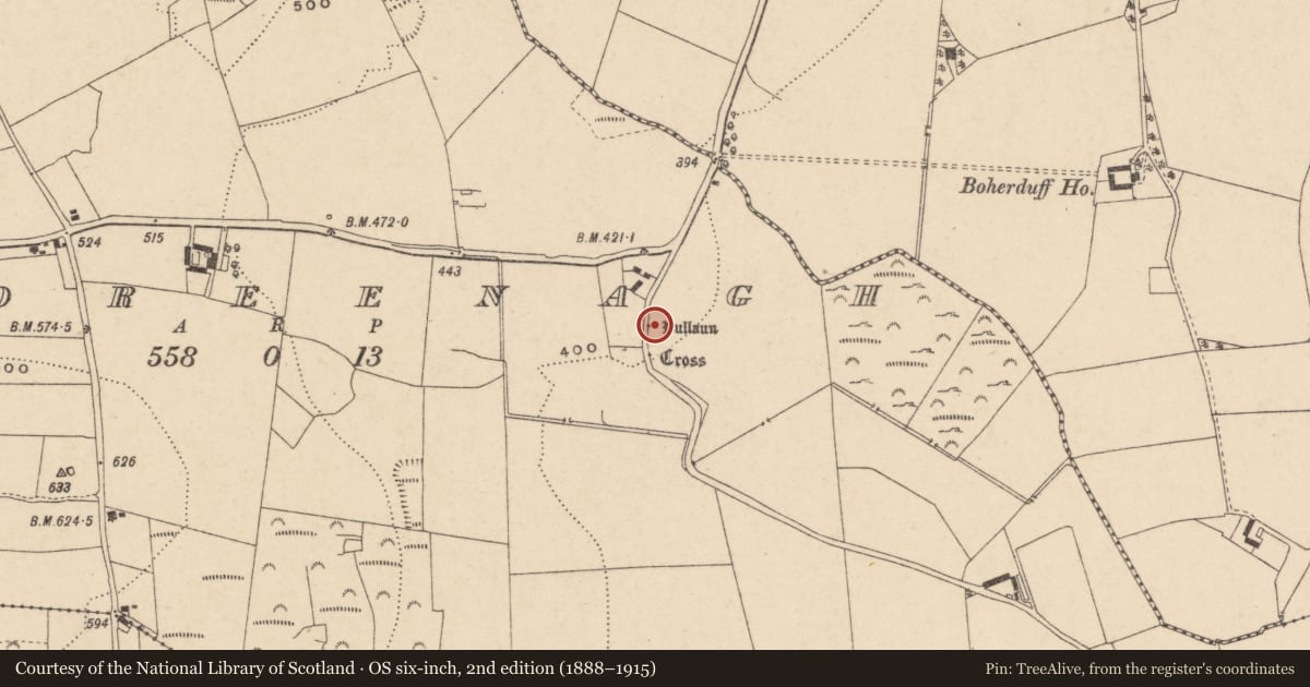 Ordnance Survey six-inch map, 2nd edition (1888–1915) covering the location of Bullaun stone, Kildreenagh, County Carlow, with a pin at the register's coordinates