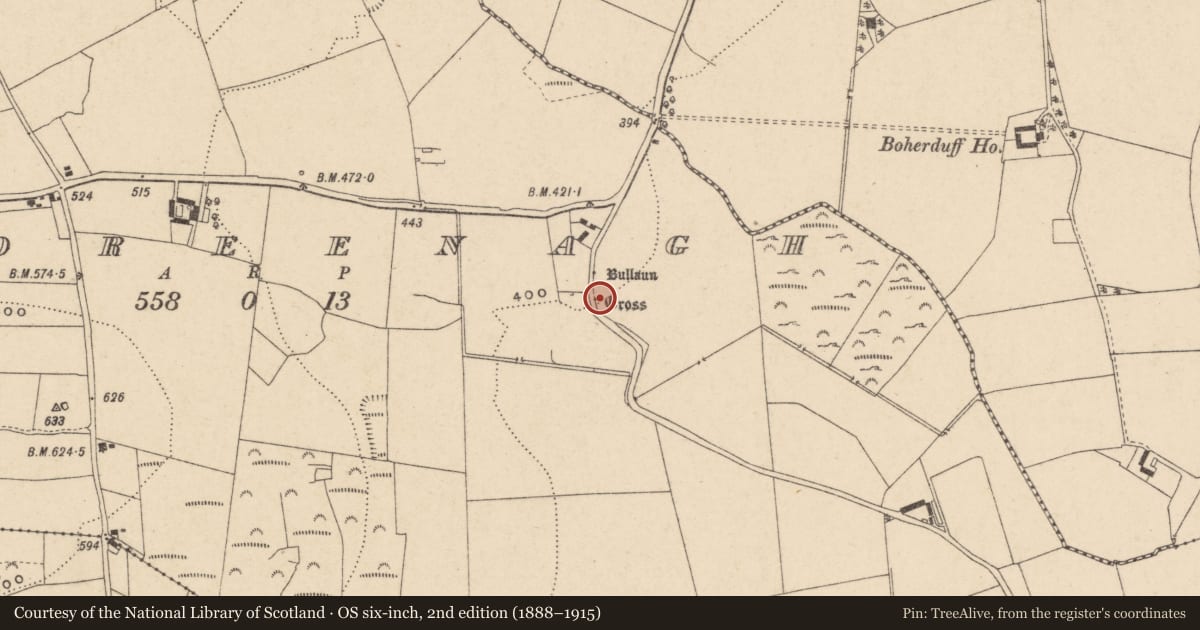 Ordnance Survey six-inch map, 2nd edition (1888–1915) covering the location of Cross, Kildreenagh, County Carlow, with a pin at the register's coordinates