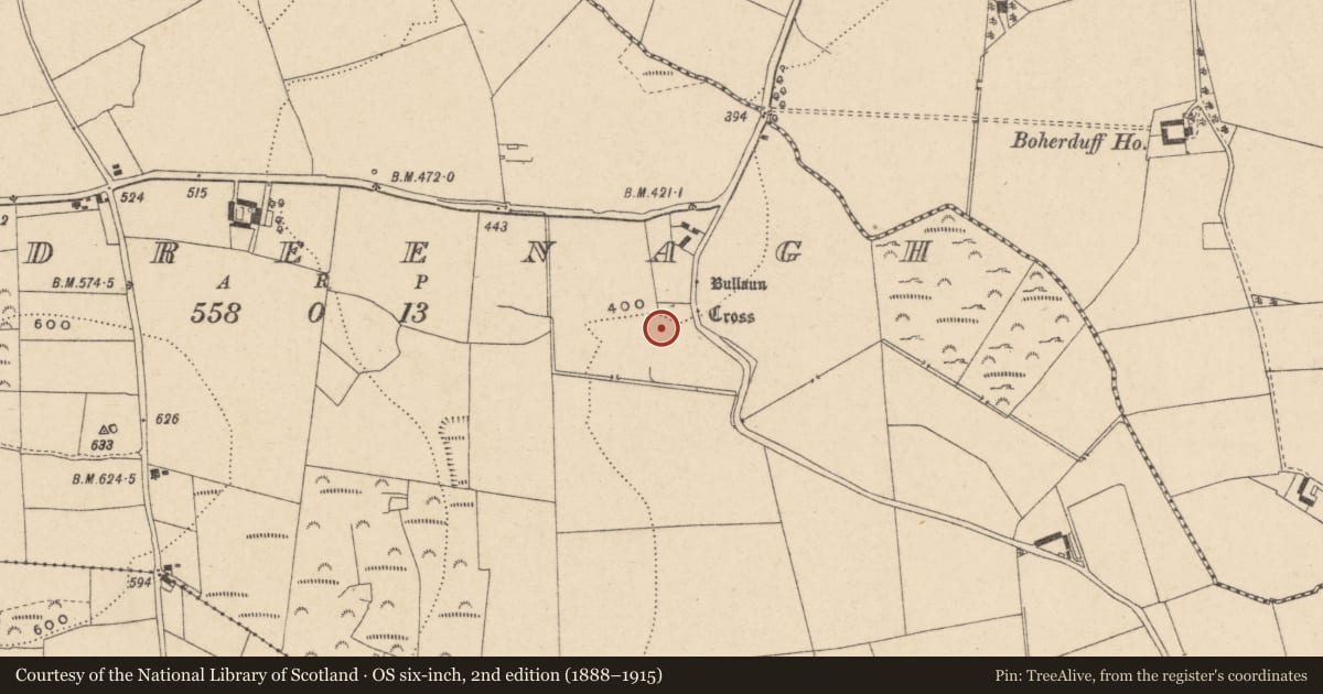Ordnance Survey six-inch map, 2nd edition (1888–1915) covering the location of Bullaun stone, Kildreenagh, County Carlow, with a pin at the register's coordinates