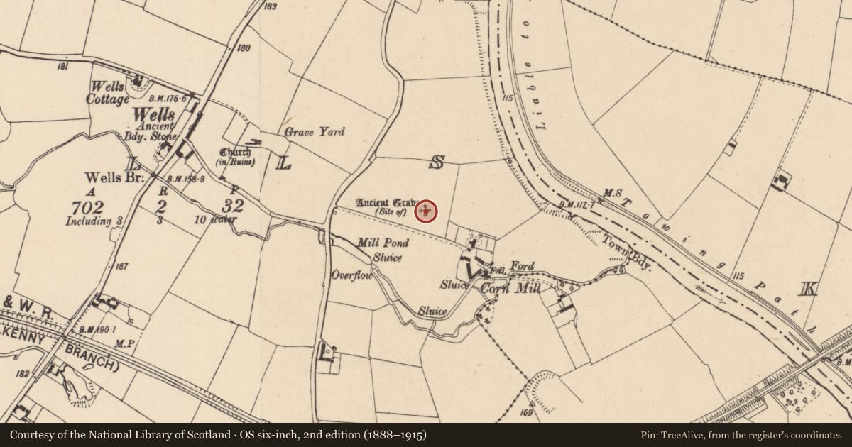 Ordnance Survey six-inch map, 2nd edition (1888–1915) covering the location of Flat cemetery, Wells, County Carlow, with a pin at the register's coordinates