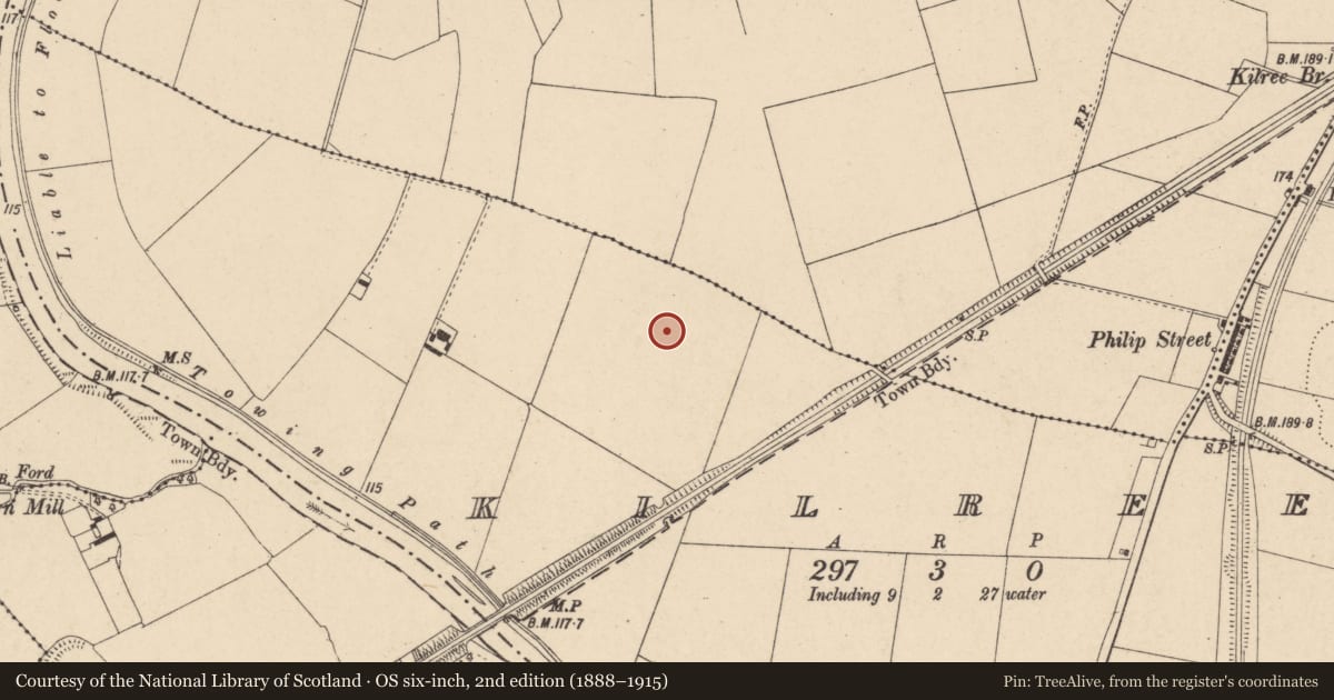 Ordnance Survey six-inch map, 2nd edition (1888–1915) covering the location of Enclosure, Kilree, County Carlow, with a pin at the register's coordinates