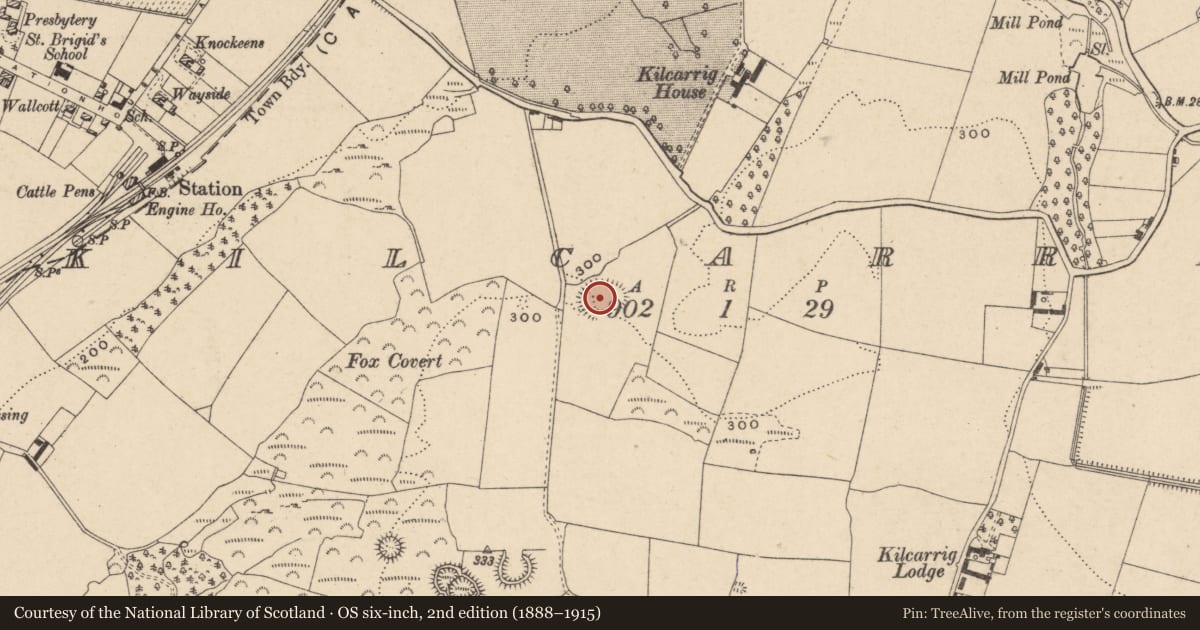 Ordnance Survey six-inch map, 2nd edition (1888–1915) covering the location of Enclosure, Kilcarrig, County Carlow, with a pin at the register's coordinates