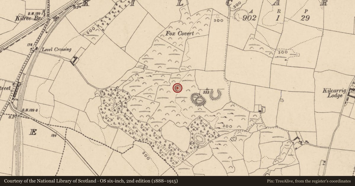 Ordnance Survey six-inch map, 2nd edition (1888–1915) covering the location of Enclosure, Kilcarrig, County Carlow, with a pin at the register's coordinates