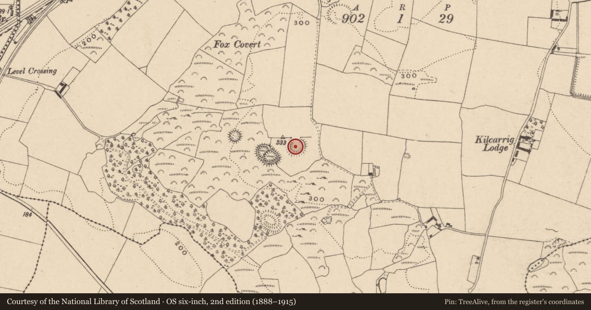 Ordnance Survey six-inch map, 2nd edition (1888–1915) covering the location of Ringfort - rath, Kilcarrig, County Carlow, with a pin at the register's coordinates