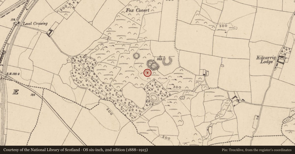 Ordnance Survey six-inch map, 2nd edition (1888–1915) covering the location of Field system, Kilcarrig, County Carlow, with a pin at the register's coordinates