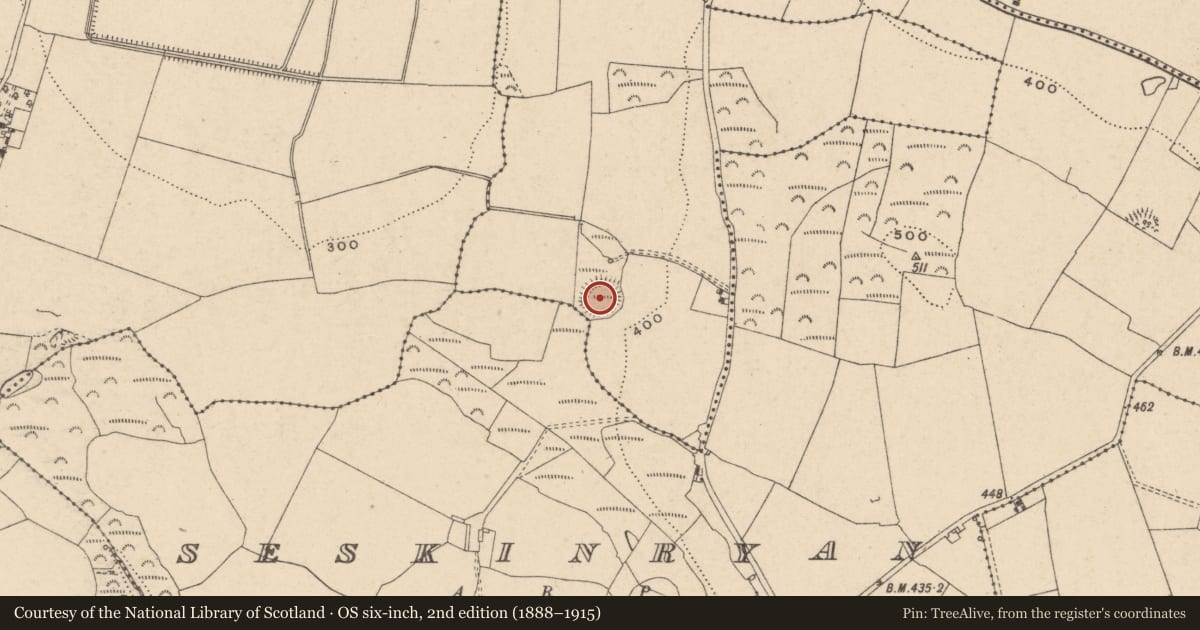 Ordnance Survey six-inch map, 2nd edition (1888–1915) covering the location of Ringfort - rath, Ballymoon, County Carlow, with a pin at the register's coordinates