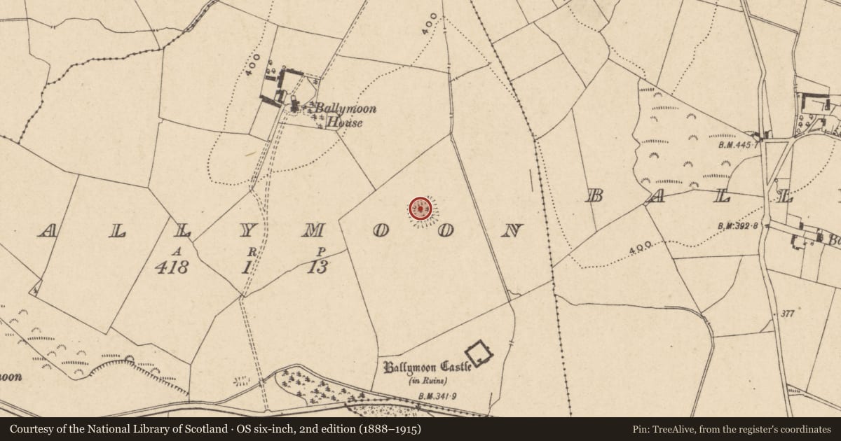Ordnance Survey six-inch map, 2nd edition (1888–1915) covering the location of Moated site, Ballymoon, County Carlow, with a pin at the register's coordinates