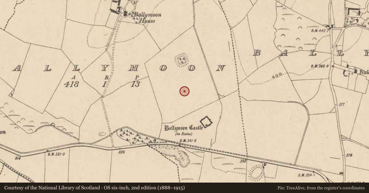 Ordnance Survey six-inch map, 2nd edition (1888–1915) covering the location of Earthwork, Ballymoon, County Carlow, with a pin at the register's coordinates