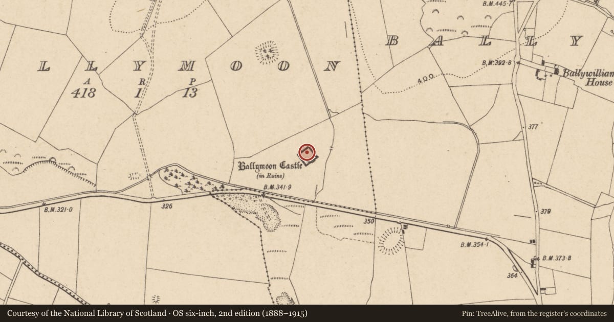 Ordnance Survey six-inch map, 2nd edition (1888–1915) covering the location of Castle - Anglo-Norman masonry castle, Ballymoon, County Carlow, with a pin at the register's coordinates