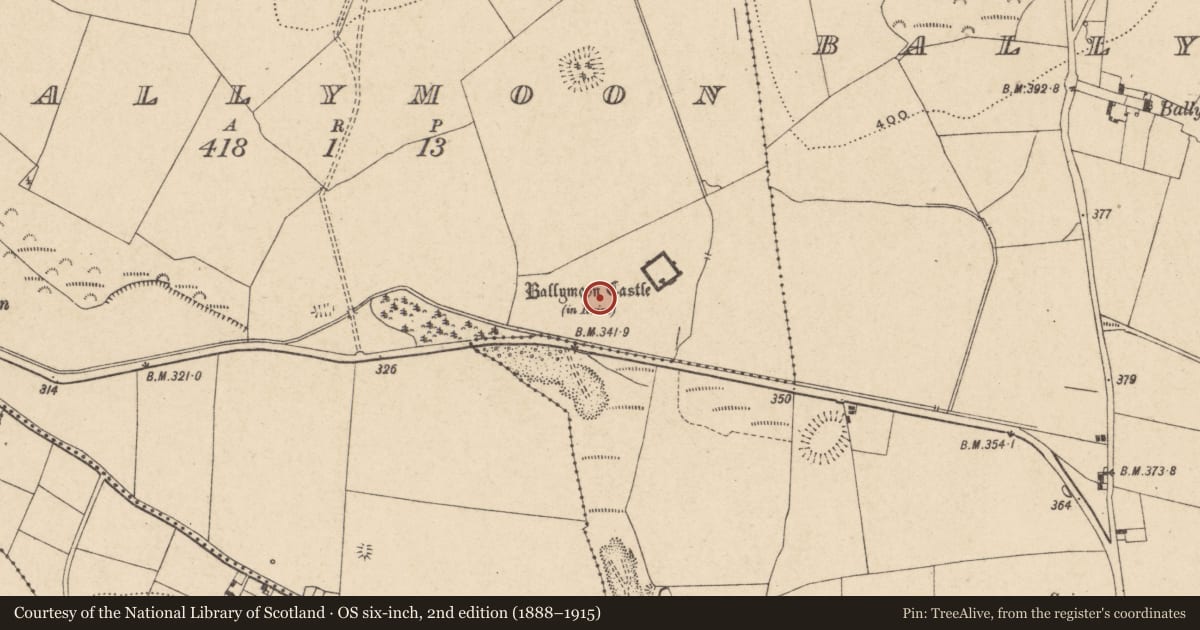 Ordnance Survey six-inch map, 2nd edition (1888–1915) covering the location of Designed landscape feature, Ballymoon, County Carlow, with a pin at the register's coordinates