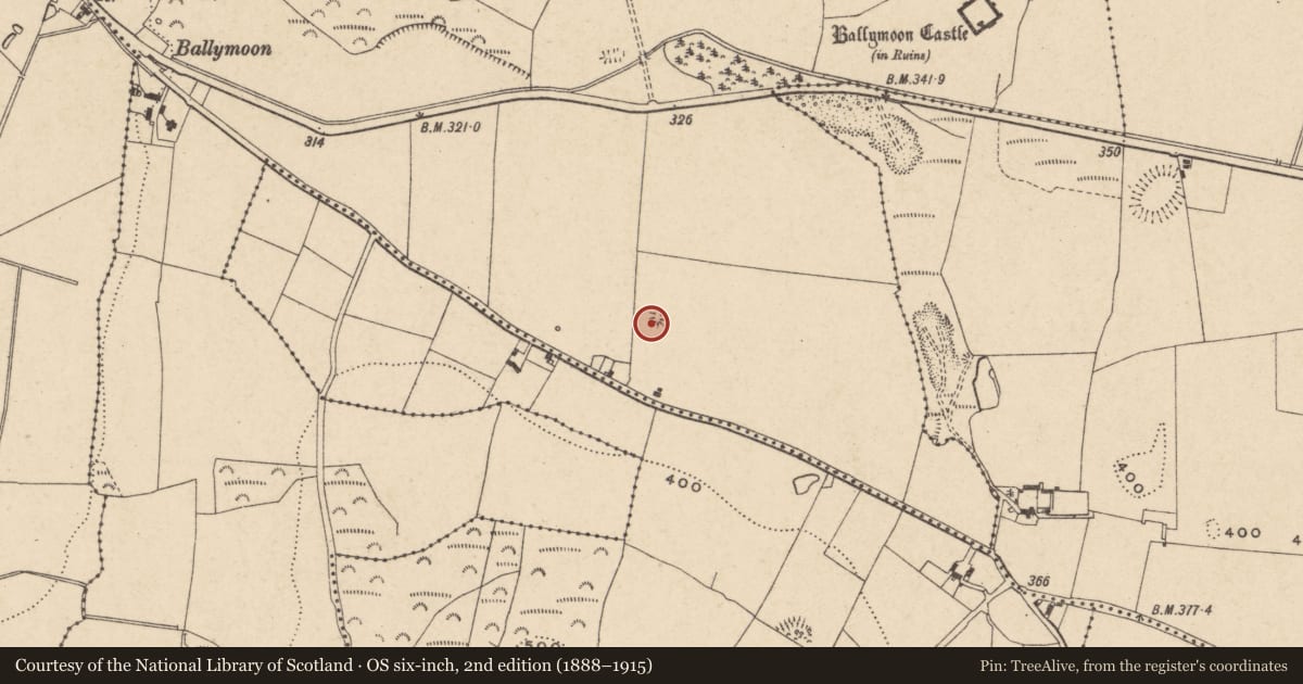 Ordnance Survey six-inch map, 2nd edition (1888–1915) covering the location of Kiln - lime, Ballymoon, County Carlow, with a pin at the register's coordinates