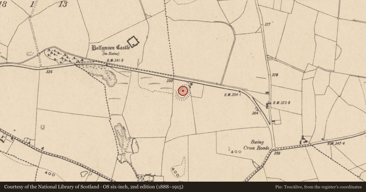 Ordnance Survey six-inch map, 2nd edition (1888–1915) covering the location of Enclosure, Ballywilliamroe, County Carlow, with a pin at the register's coordinates