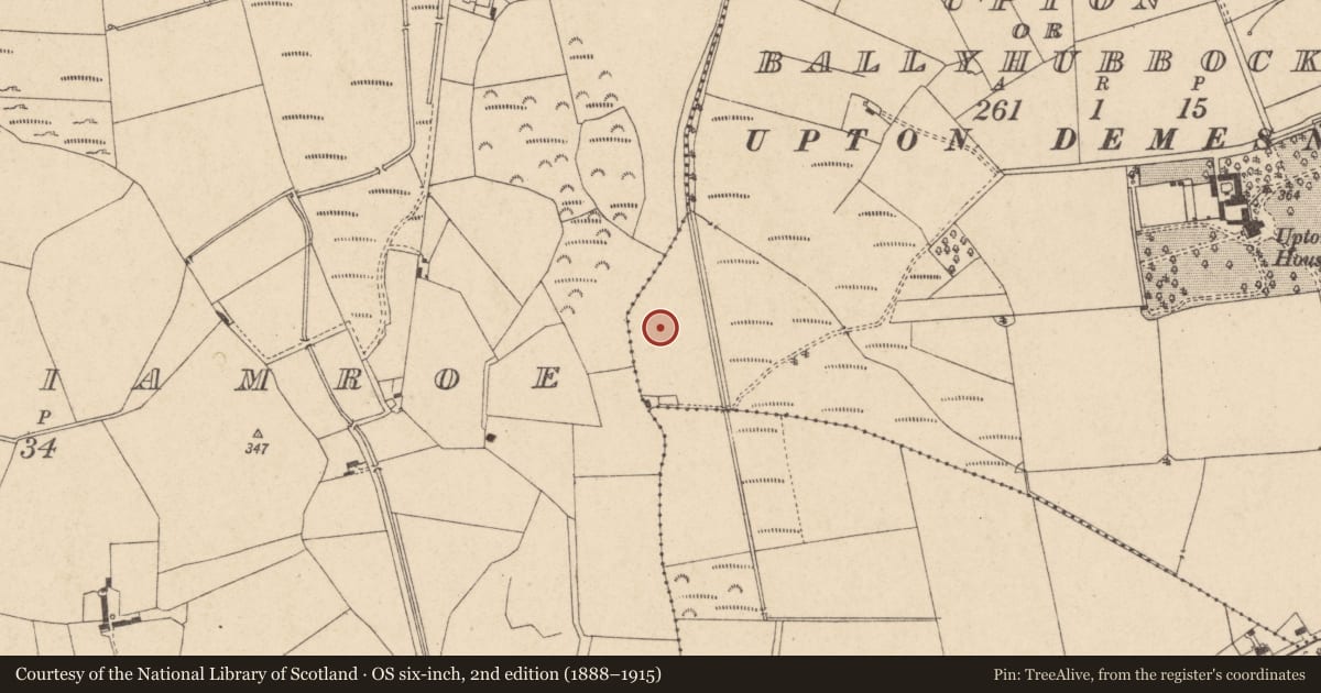 Ordnance Survey six-inch map, 2nd edition (1888–1915) covering the location of Enclosure, Upton Or Ballyhubbock, County Carlow, with a pin at the register's coordinates