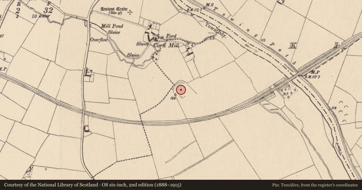 Ordnance Survey six-inch map, 2nd edition (1888–1915) covering the location of Enclosure, Fenniscourt, County Carlow, with a pin at the register's coordinates