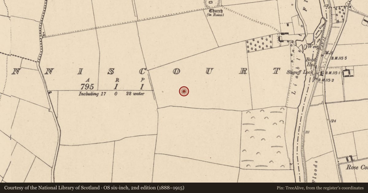 Ordnance Survey six-inch map, 2nd edition (1888–1915) covering the location of Rock art, Fenniscourt, County Carlow, with a pin at the register's coordinates