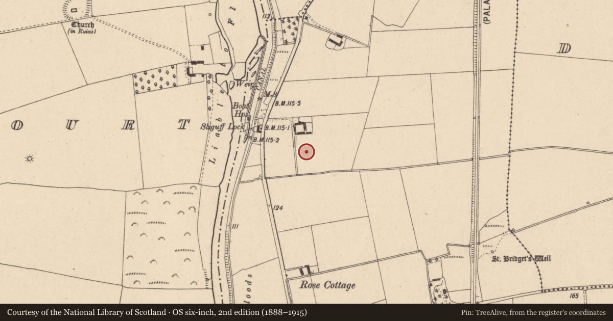 Ordnance Survey six-inch map, 2nd edition (1888–1915) covering the location of Enclosure, Sliguff, County Carlow, with a pin at the register's coordinates