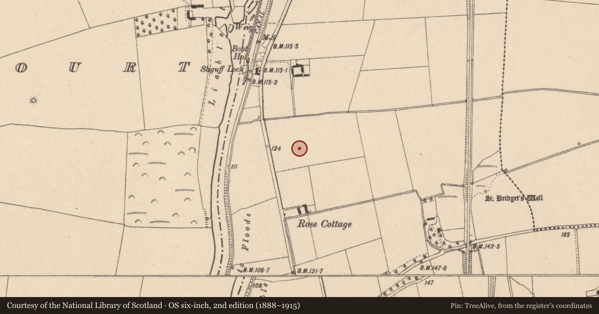 Ordnance Survey six-inch map, 2nd edition (1888–1915) covering the location of Enclosure, Sliguff, County Carlow, with a pin at the register's coordinates