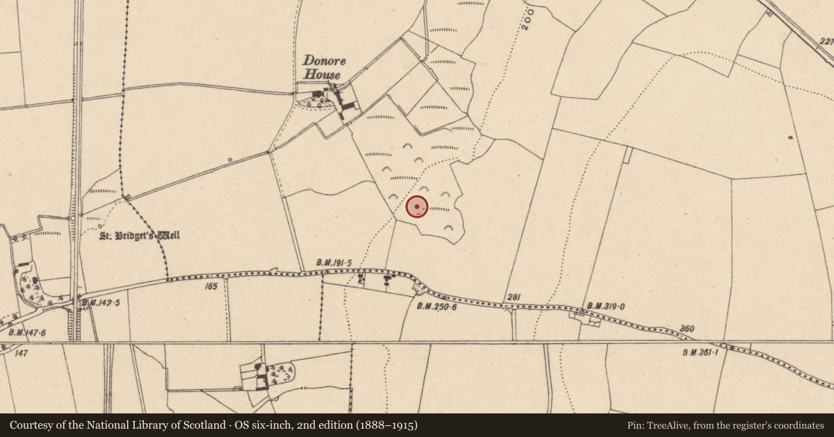 Ordnance Survey six-inch map, 2nd edition (1888–1915) covering the location of Megalithic structure, Donore, County Carlow, with a pin at the register's coordinates