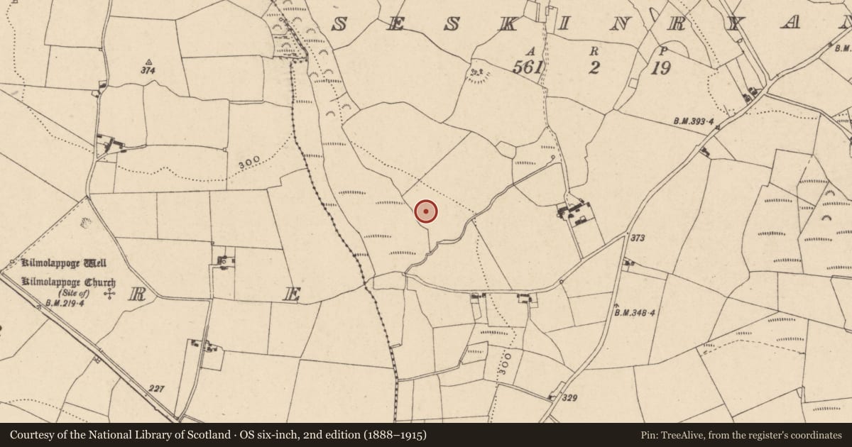 Ordnance Survey six-inch map, 2nd edition (1888–1915) covering the location of Enclosure, Seskinryan, County Carlow, with a pin at the register's coordinates