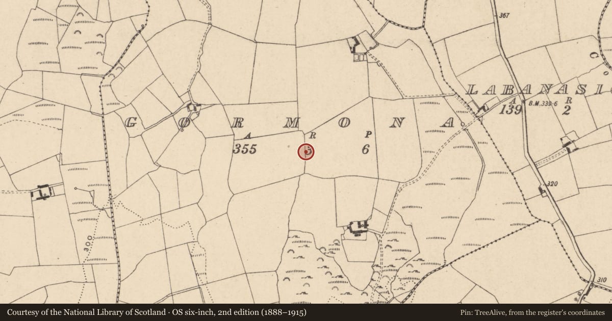 Ordnance Survey six-inch map, 2nd edition (1888–1915) covering the location of Earthwork, Gormona, County Carlow, with a pin at the register's coordinates