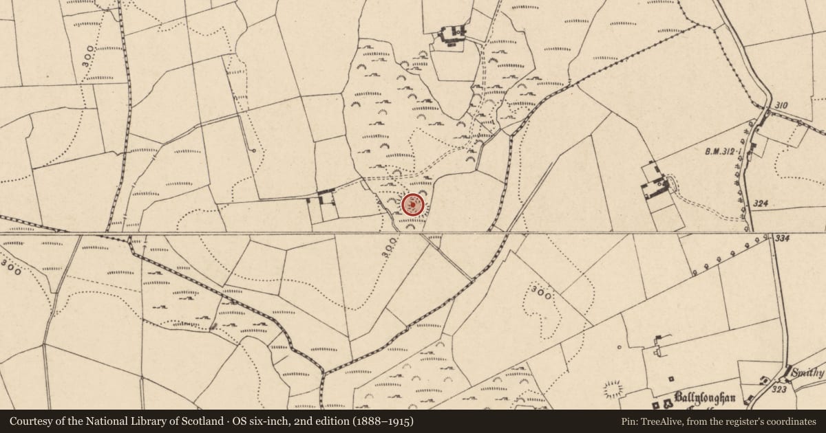 Ordnance Survey six-inch map, 2nd edition (1888–1915) covering the location of Ringfort - rath, Gormona, County Carlow, with a pin at the register's coordinates