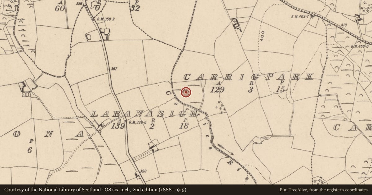 Ordnance Survey six-inch map, 2nd edition (1888–1915) covering the location of Ringfort - rath, Carrigpark, County Carlow, with a pin at the register's coordinates