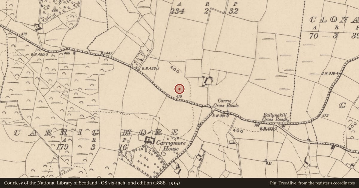 Ordnance Survey six-inch map, 2nd edition (1888–1915) covering the location of Cairn - unclassified, Toberbride, County Carlow, with a pin at the register's coordinates