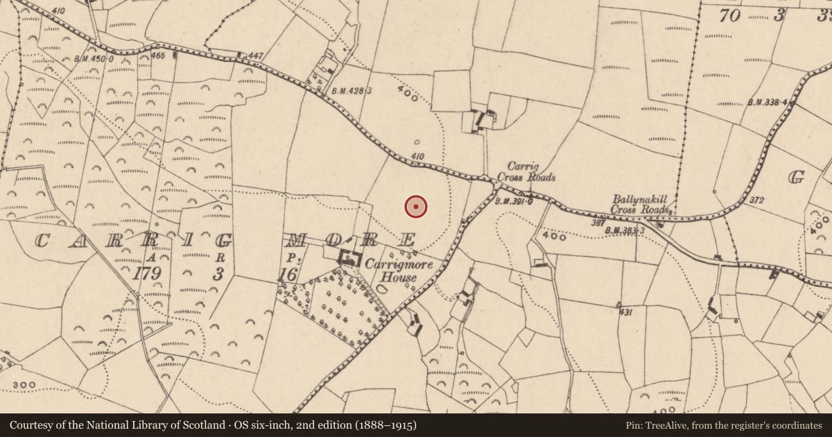 Ordnance Survey six-inch map, 2nd edition (1888–1915) covering the location of Earthwork, Carrig More, County Carlow, with a pin at the register's coordinates