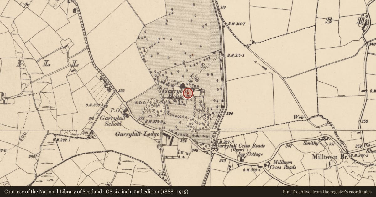 Ordnance Survey six-inch map, 2nd edition (1888–1915) covering the location of Castle - unclassified, Garryhill, County Carlow, with a pin at the register's coordinates