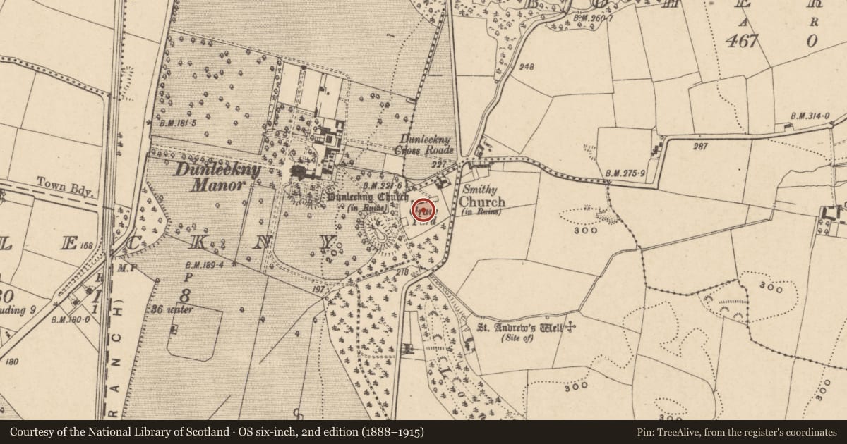 Ordnance Survey six-inch map, 2nd edition (1888–1915) covering the location of Graveyard, Bohermore, County Carlow, with a pin at the register's coordinates