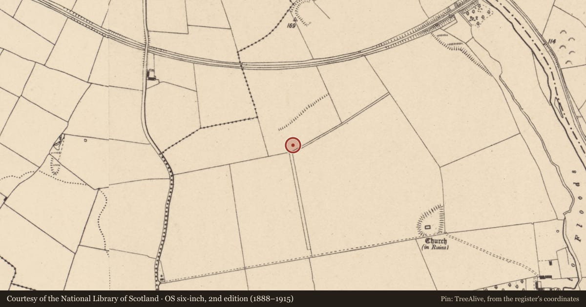 Ordnance Survey six-inch map, 2nd edition (1888–1915) covering the location of Enclosure, Fenniscourt, County Carlow, with a pin at the register's coordinates