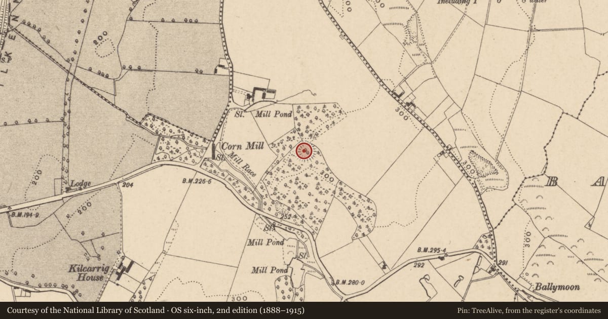 Ordnance Survey six-inch map, 2nd edition (1888–1915) covering the location of Ringfort - rath, Kilcarrig, County Carlow, with a pin at the register's coordinates