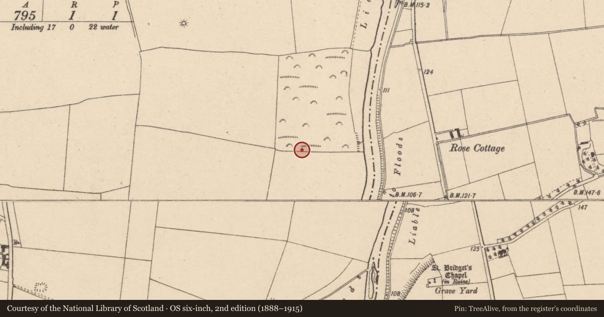 Ordnance Survey six-inch map, 2nd edition (1888–1915) covering the location of Road - road/trackway, Fenniscourt, County Carlow, with a pin at the register's coordinates