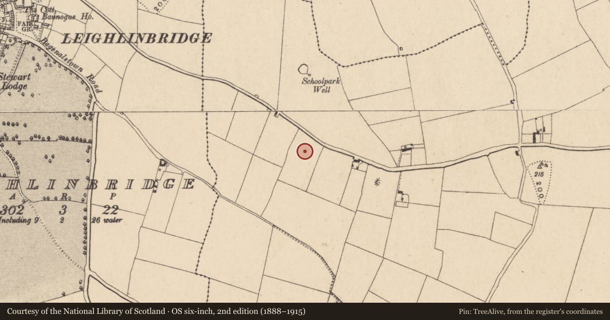 Ordnance Survey six-inch map, 2nd edition (1888–1915) covering the location of Barrow - ring-barrow, Rathellin, County Carlow, with a pin at the register's coordinates