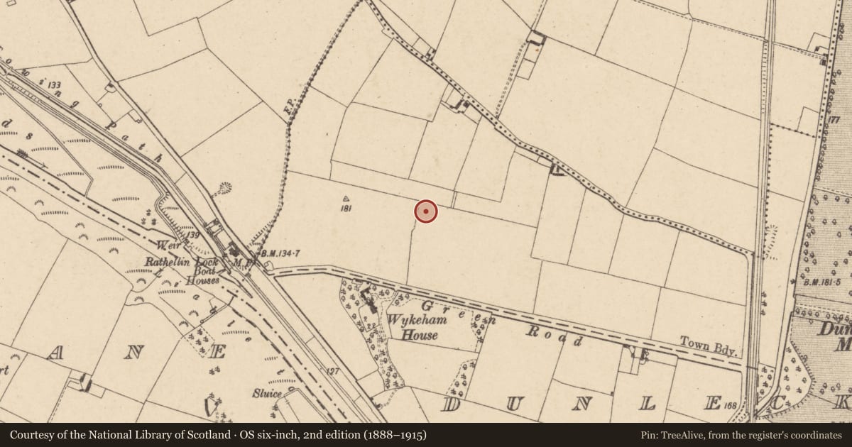 Ordnance Survey six-inch map, 2nd edition (1888–1915) covering the location of Cist, Dunleckny, County Carlow, with a pin at the register's coordinates