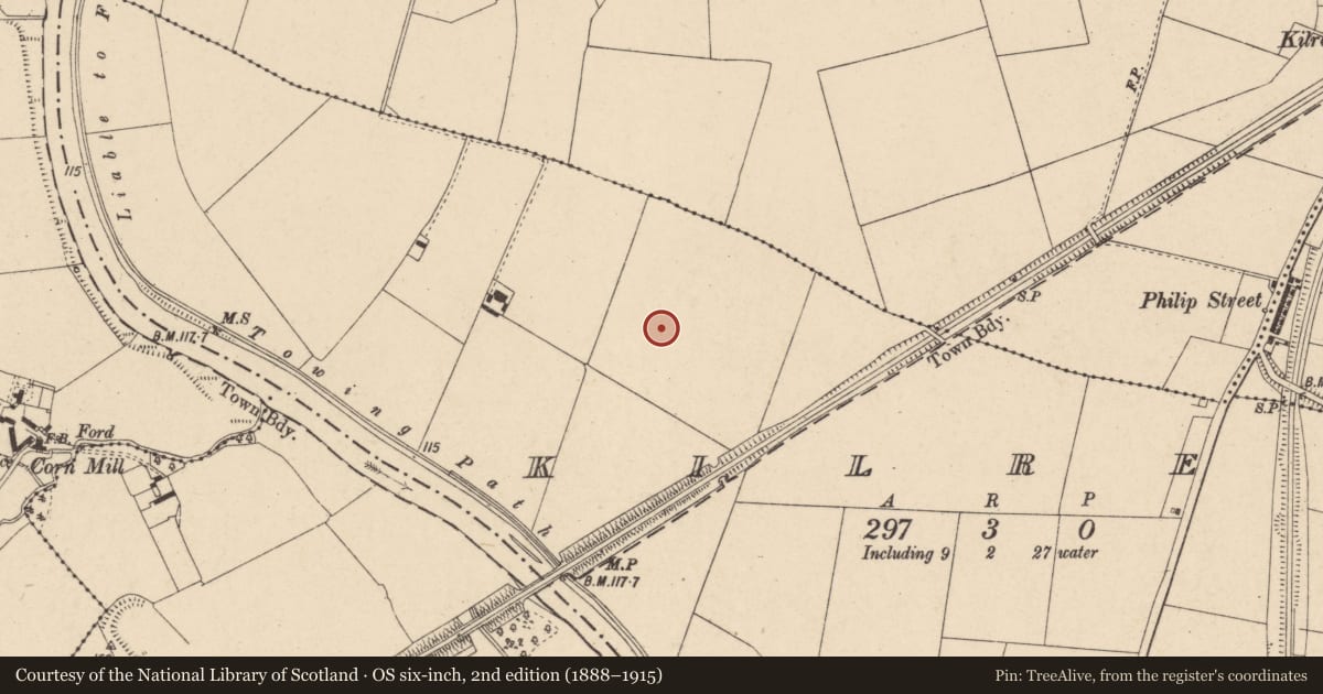Ordnance Survey six-inch map, 2nd edition (1888–1915) covering the location of Road - road/trackway, Kilree, County Carlow, with a pin at the register's coordinates
