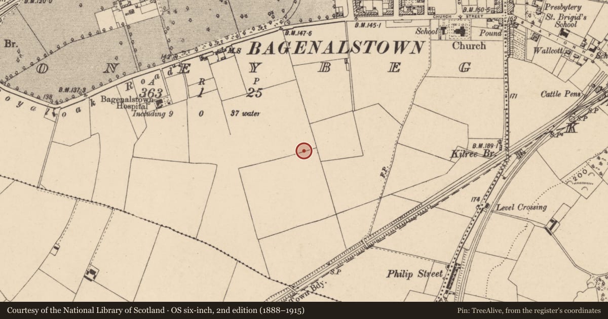 Ordnance Survey six-inch map, 2nd edition (1888–1915) covering the location of Ring-ditch, Moneybeg, County Carlow, with a pin at the register's coordinates