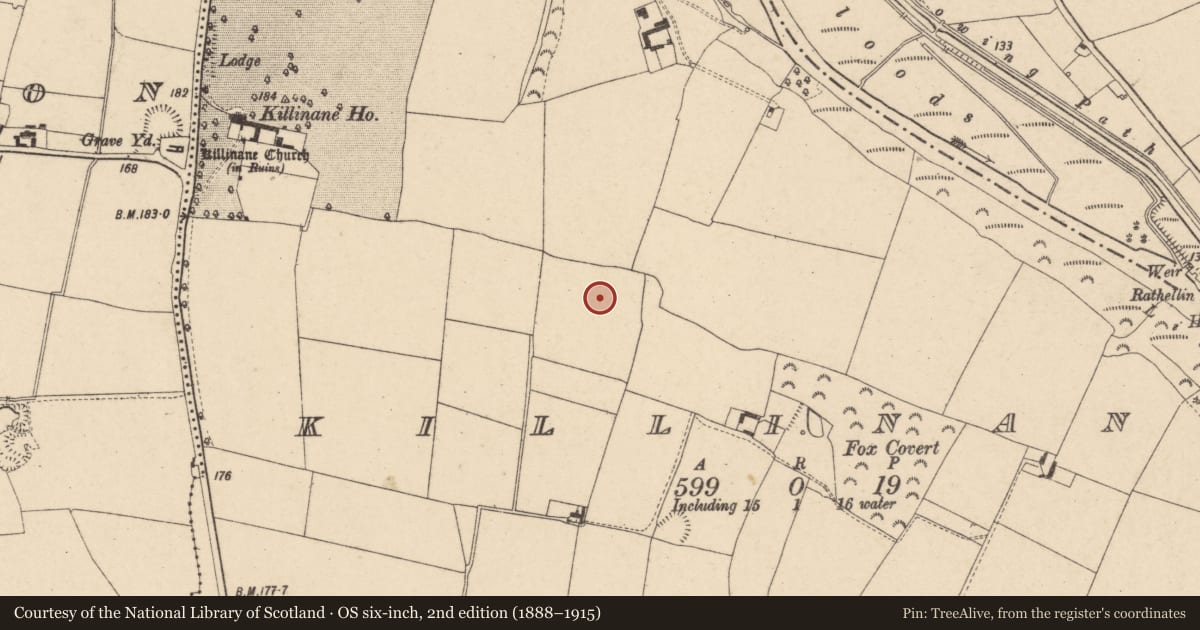 Ordnance Survey six-inch map, 2nd edition (1888–1915) covering the location of Enclosure, Killinane, County Carlow, with a pin at the register's coordinates