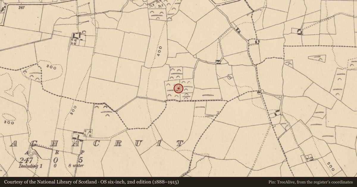 Ordnance Survey six-inch map, 2nd edition (1888–1915) covering the location of Enclosure, Bohermore, County Carlow, with a pin at the register's coordinates